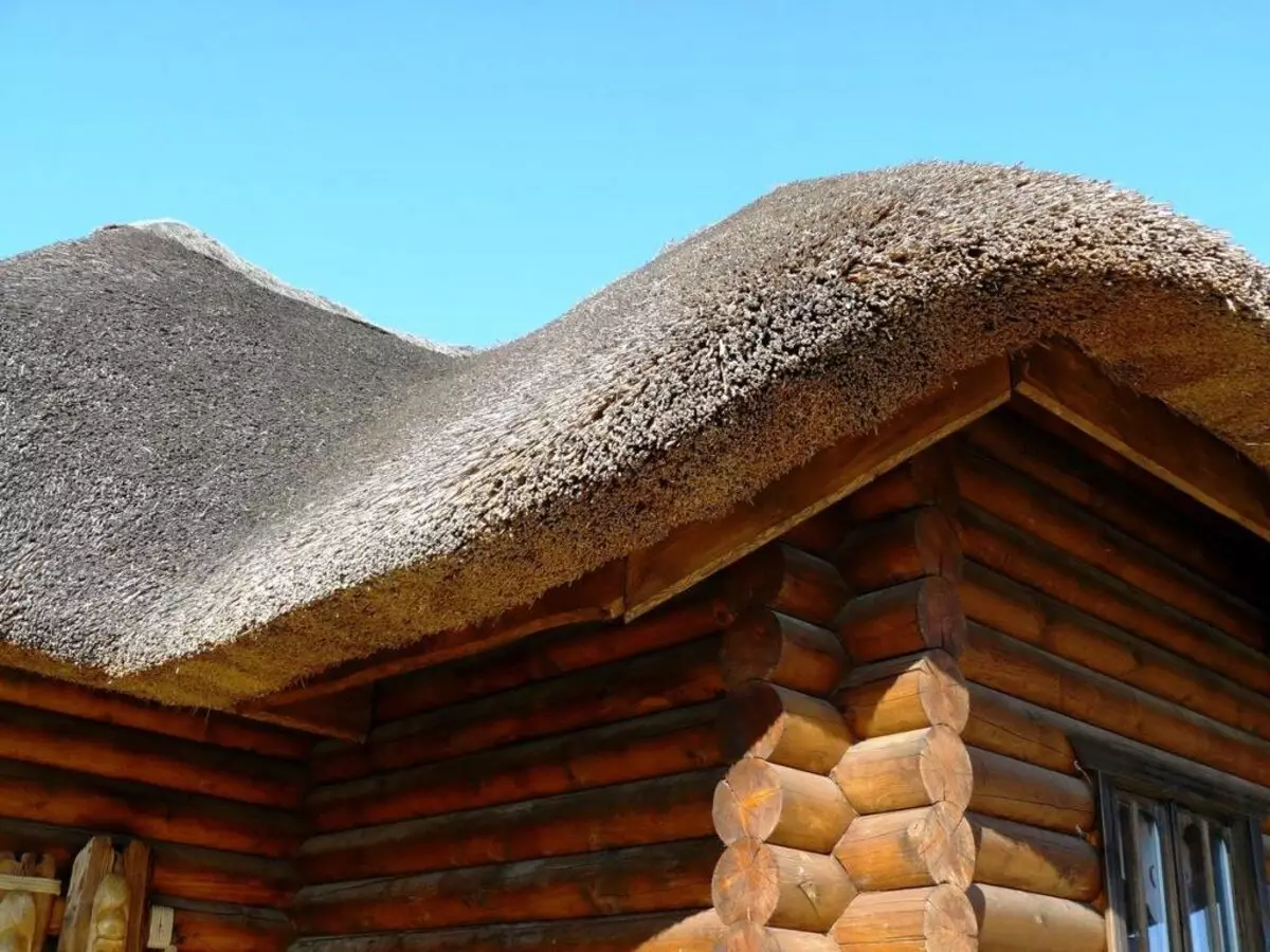 Камышовая крыша: свойства материала, плюсы и минусы, устройство и монтаж
