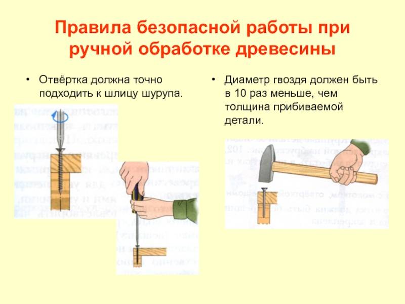 Инструкция по охране труда при производстве работ по очистке лесополос, вырубке, распиловке деревьев, кустарников | ohranatruda31.ru | ohranatruda31.ru