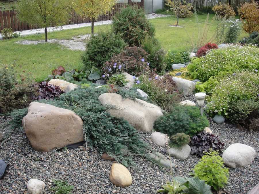 Рокарий в ландшафтном дизайне или создание каменистого сада
