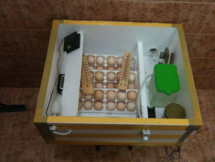 Домашний инкубатор своими руками, способы сделать лотки с автоматизированным устройством переворота яиц