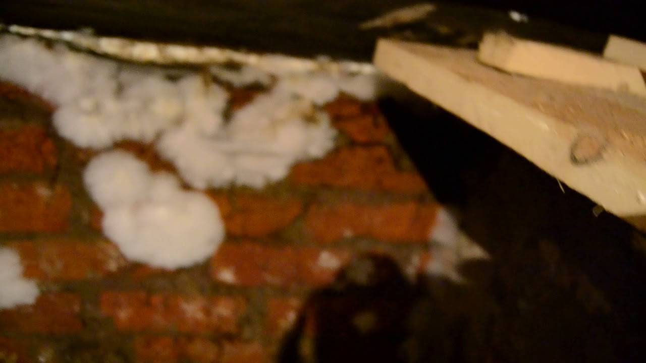 Плесень в погребе (грибок в подвале дома): как избавиться, убрать?