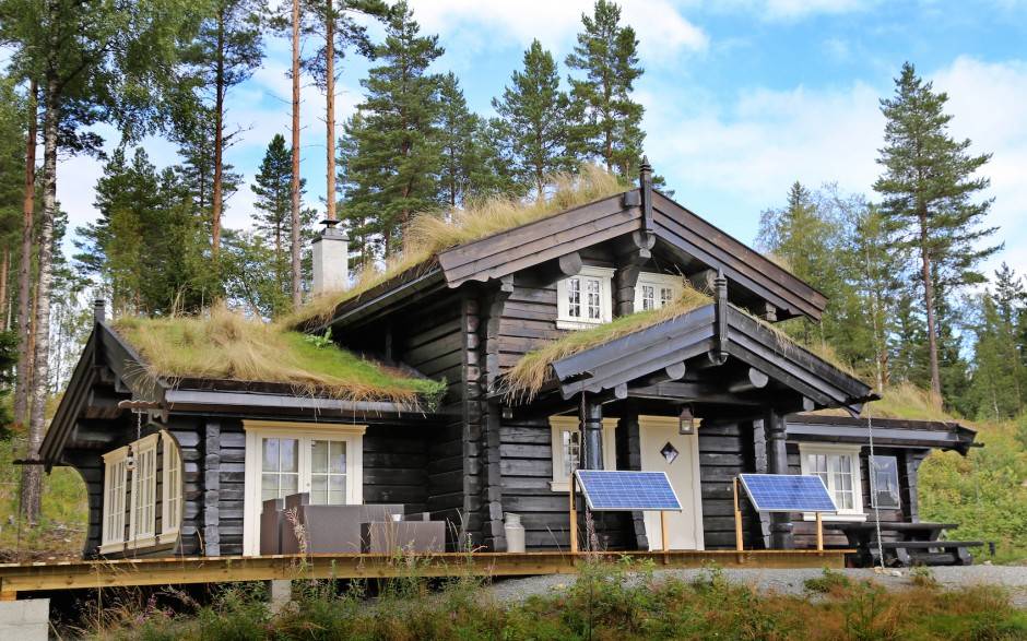 Норвежский стиль в интерьере: специфические особенности, идеи дизайна квартир и домов