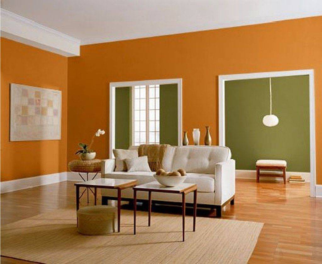 Какого цвета выбрать краску для стен – обзор палитры