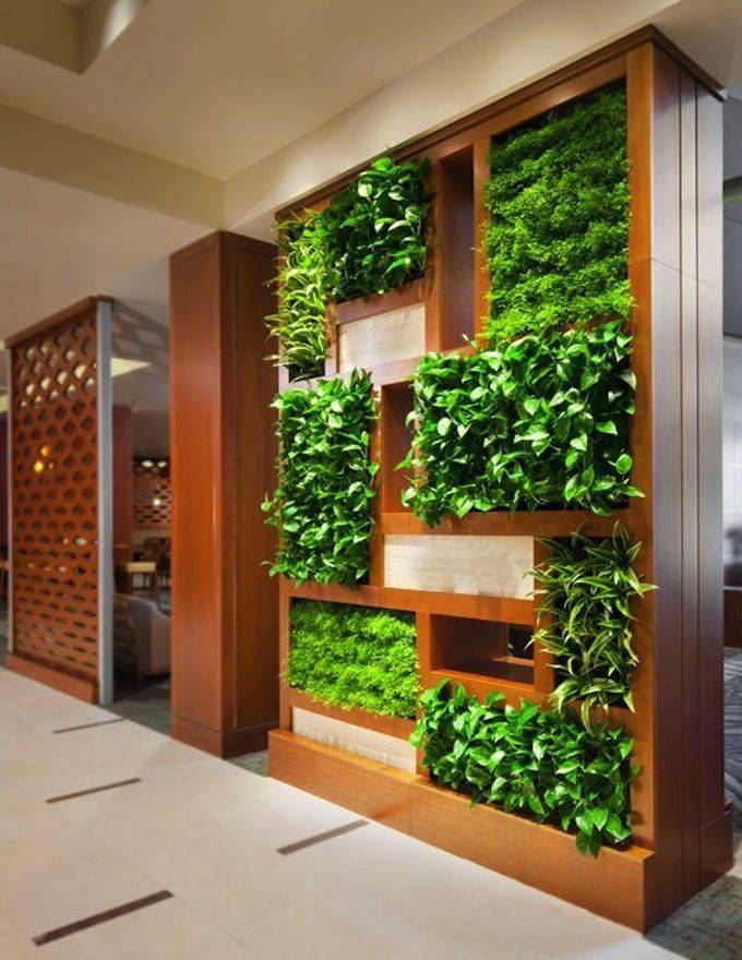 Как сделать вертикальное озеленение в интерьере?