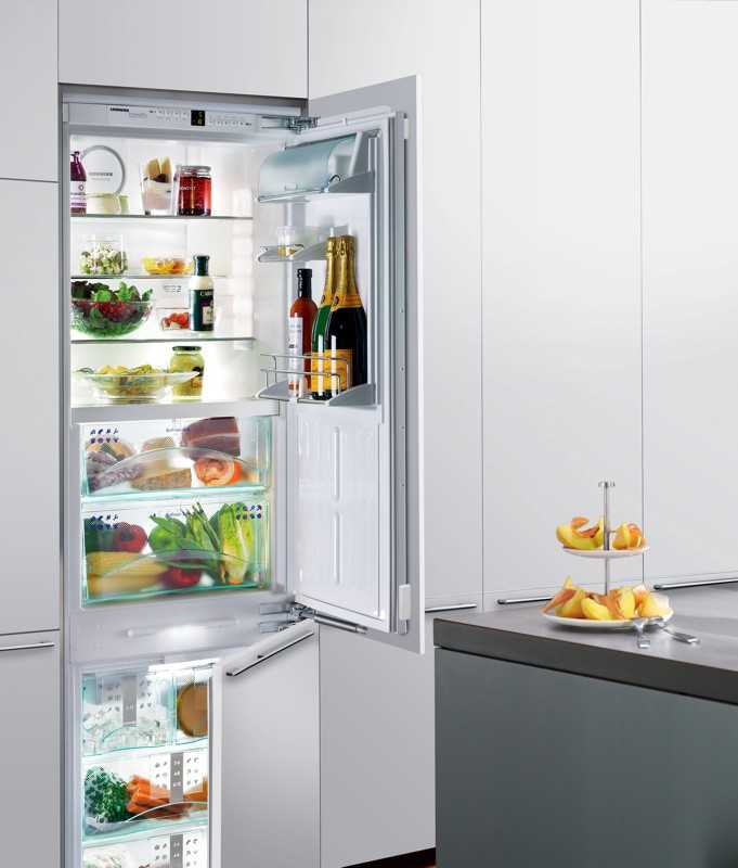 Встроенный холодильник какой лучше выбрать - рейтинг по качеству