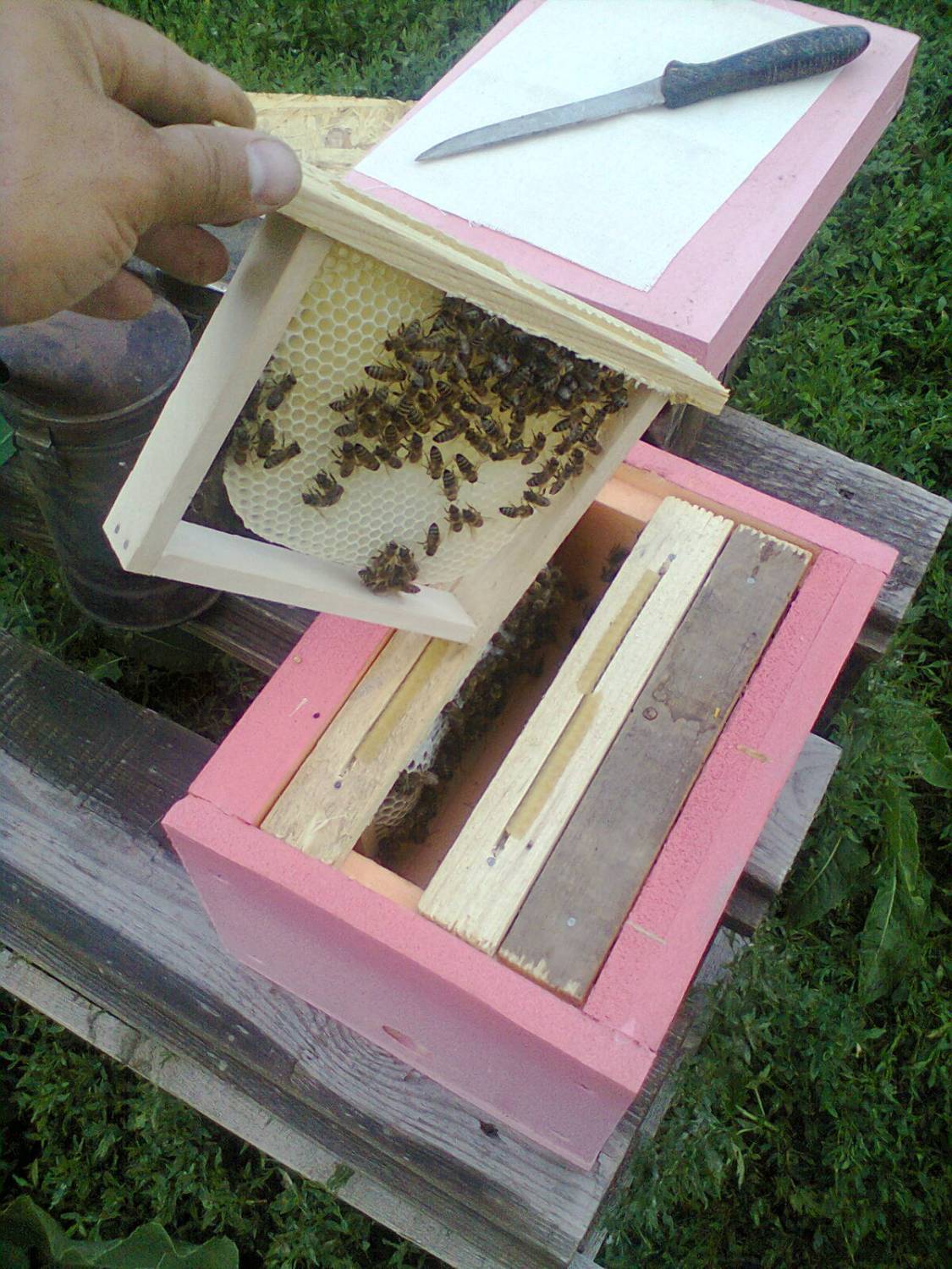 Как самостоятельно изготовить пчелиный улей: используем чертежи