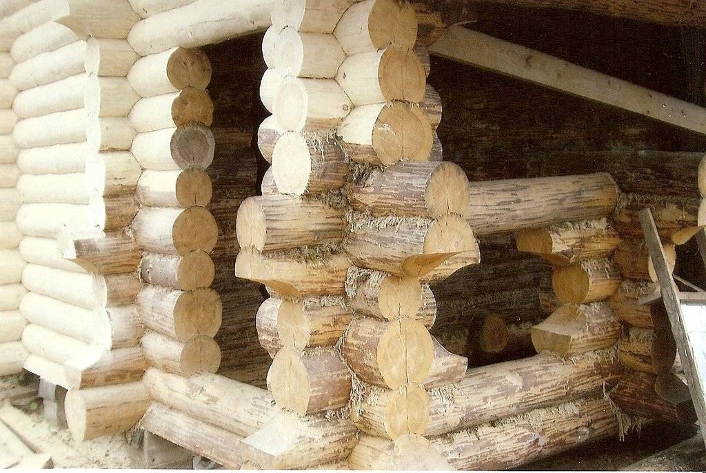 Дом из оцилиндрованного бревна: строительство своими руками