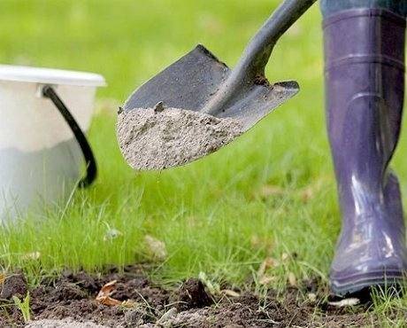 Нормы и правила проведения известкования почвы