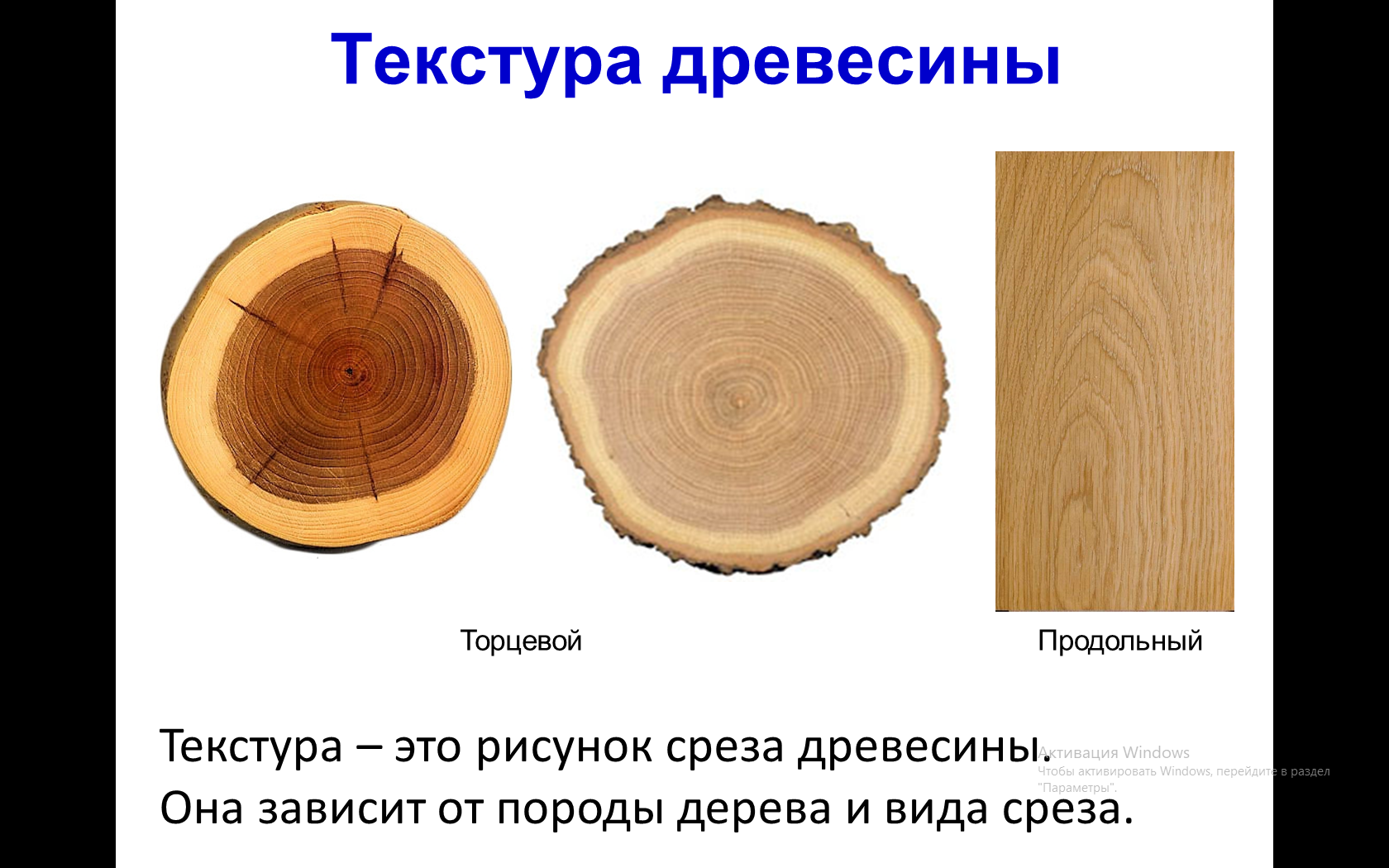 Какие бывают породы деревьев?