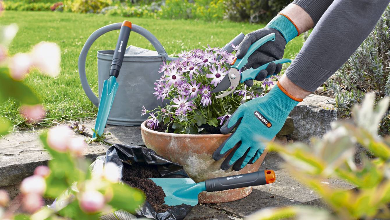 Работы в саду и огороде весной (март, апрель и май): основные и профилактические | (фото & видео) +отзывы