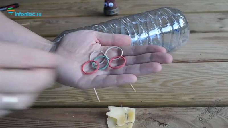 Изготовление мышеловки из пластиковой бутылки + видео
