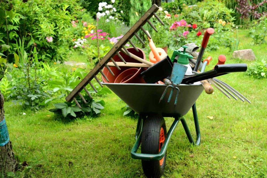 Уход за садовыми инструментами, восстановление садового инструмента