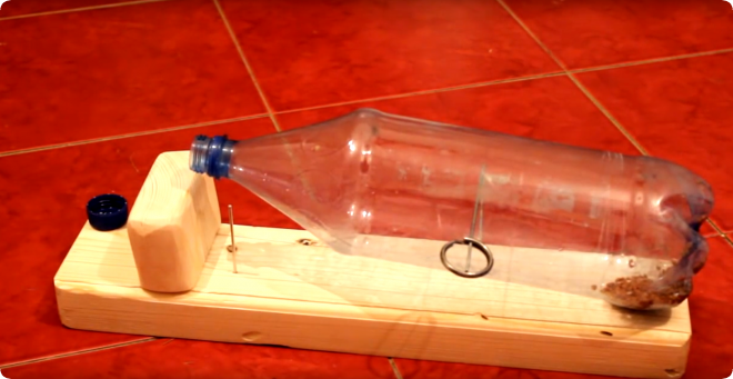 Мышеловка из пластиковой бутылки и как ее сделать своими руками