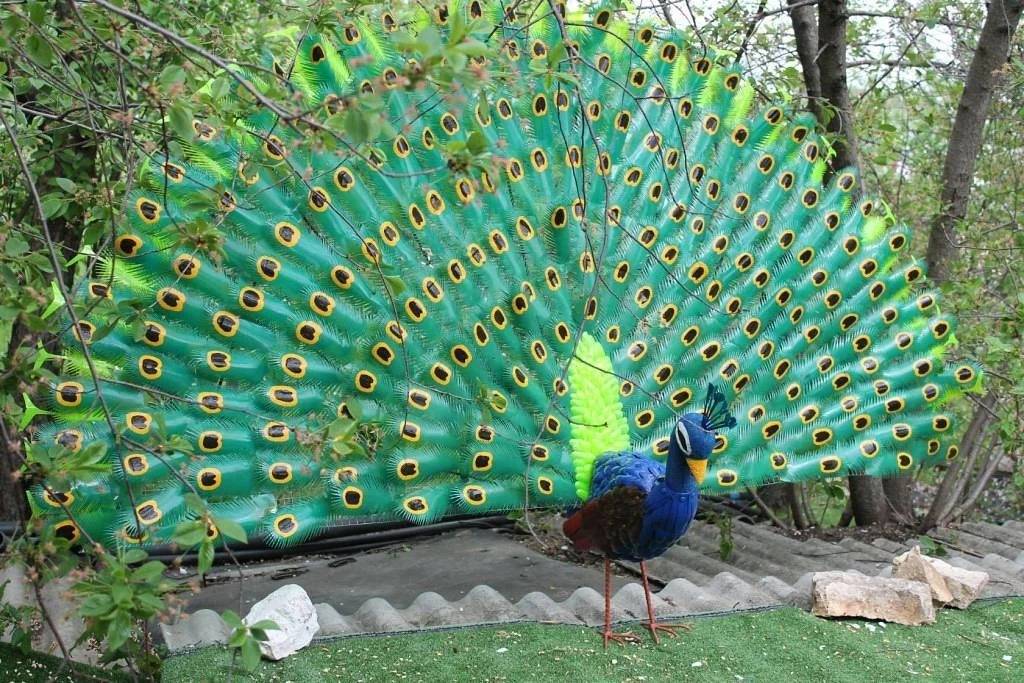 Красивые птицы из пластиковых бутылок своими руками :: инфониак