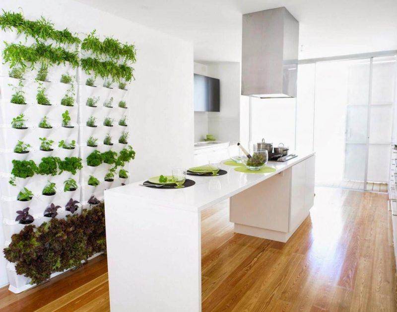 Растения для вертикального озеленения внутри помещения (40 фото) | онлайн-журнал о ремонте и дизайне