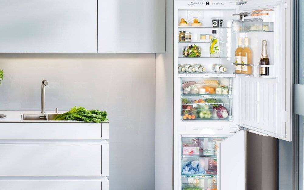 Встроенный холодильник: плюсы и минусы