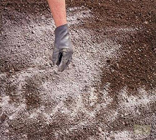 Правила известкования почвы и нормы внесения, когда проводить раскисление