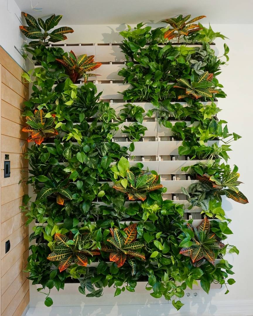 Делаем вертикальное озеленение в интерьере и фитомодули своими руками - комнатные и садовые растения, уход за ними sad-doma.net
