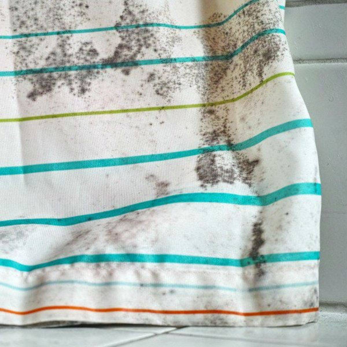 Чем и как отмыть шторку в ванной от желтизны и плесени?