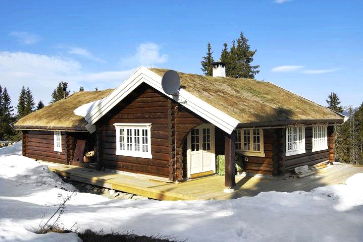 Проектирование деревянных домов и бань из лафета | норвежский дом