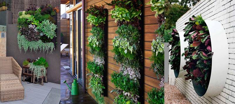 20 способов озеленения квартиры, которые создадут особый микроклимат