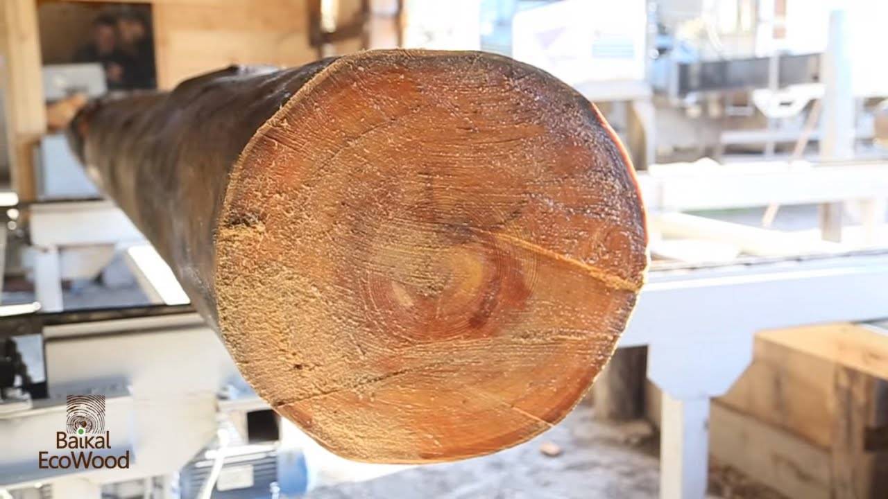 Мореная древесина — как сделать своими руками и для чего? Материал на миллион