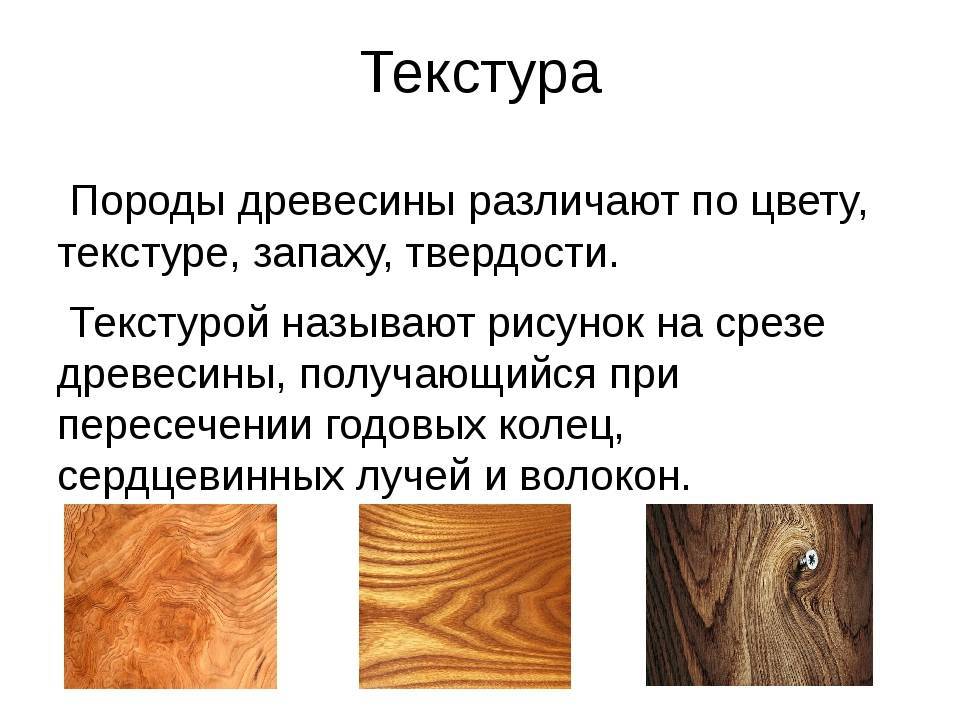 Породы, свойства и характеристики древесины как строительного материала :: стиль-но