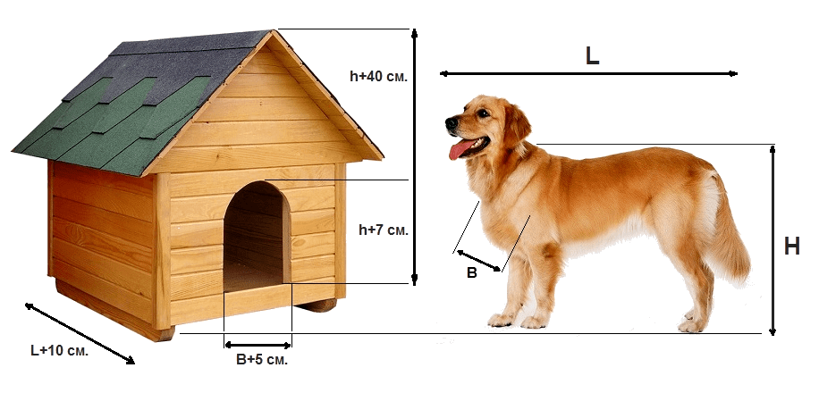 Будка для собаки своими руками: чертежи с размерами - строительство и ремонт
