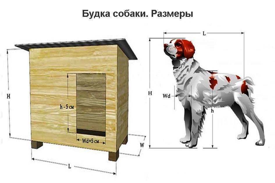 Будка для собаки своими руками – чертежи, эскизы и размеры