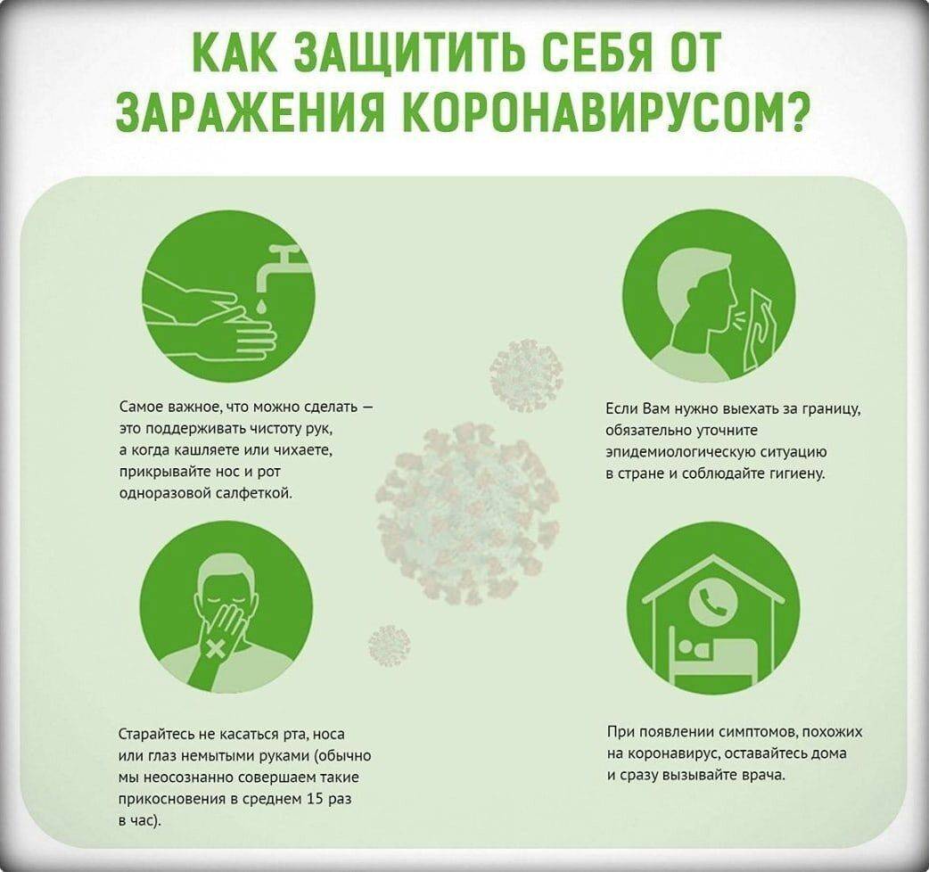 Как защитить частный дом от коронавируса:  лучшие способы, которые уберегут вас и дом от проблем