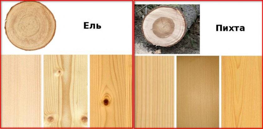 Породы древесины для деревянного дома: виды, свойства, достоинства, недостатки