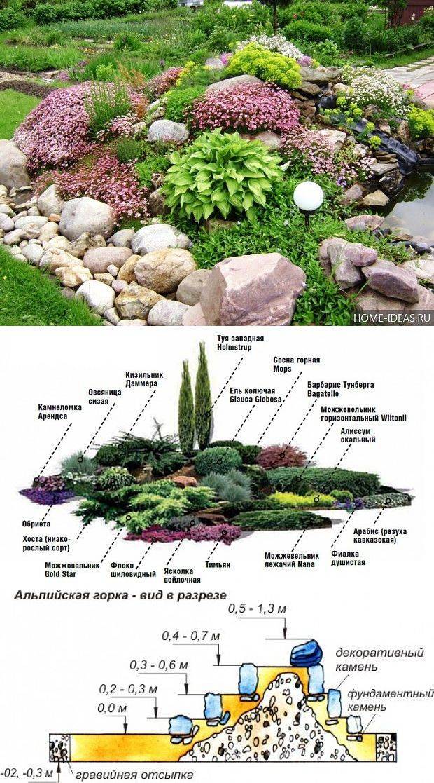 Как правильно подобрать растения для рокария в саду
