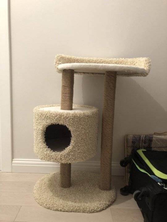 Как обтянуть домик для кошки ковролином — о животных на чистоту
