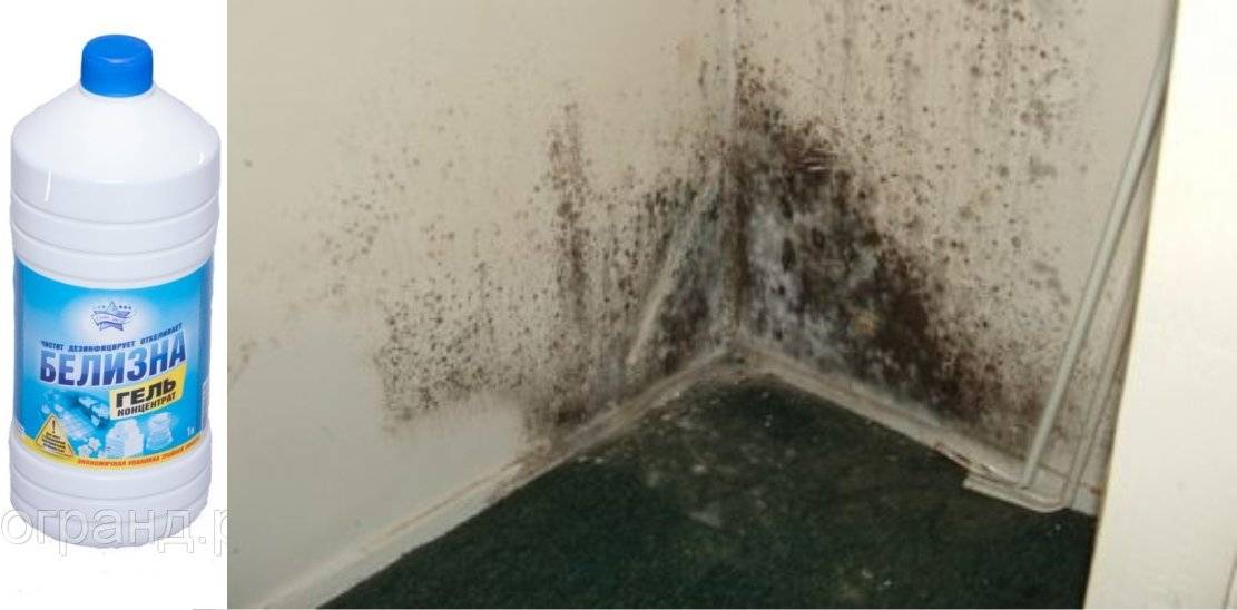 Как убрать плесень и грибок на стенах в квартире?