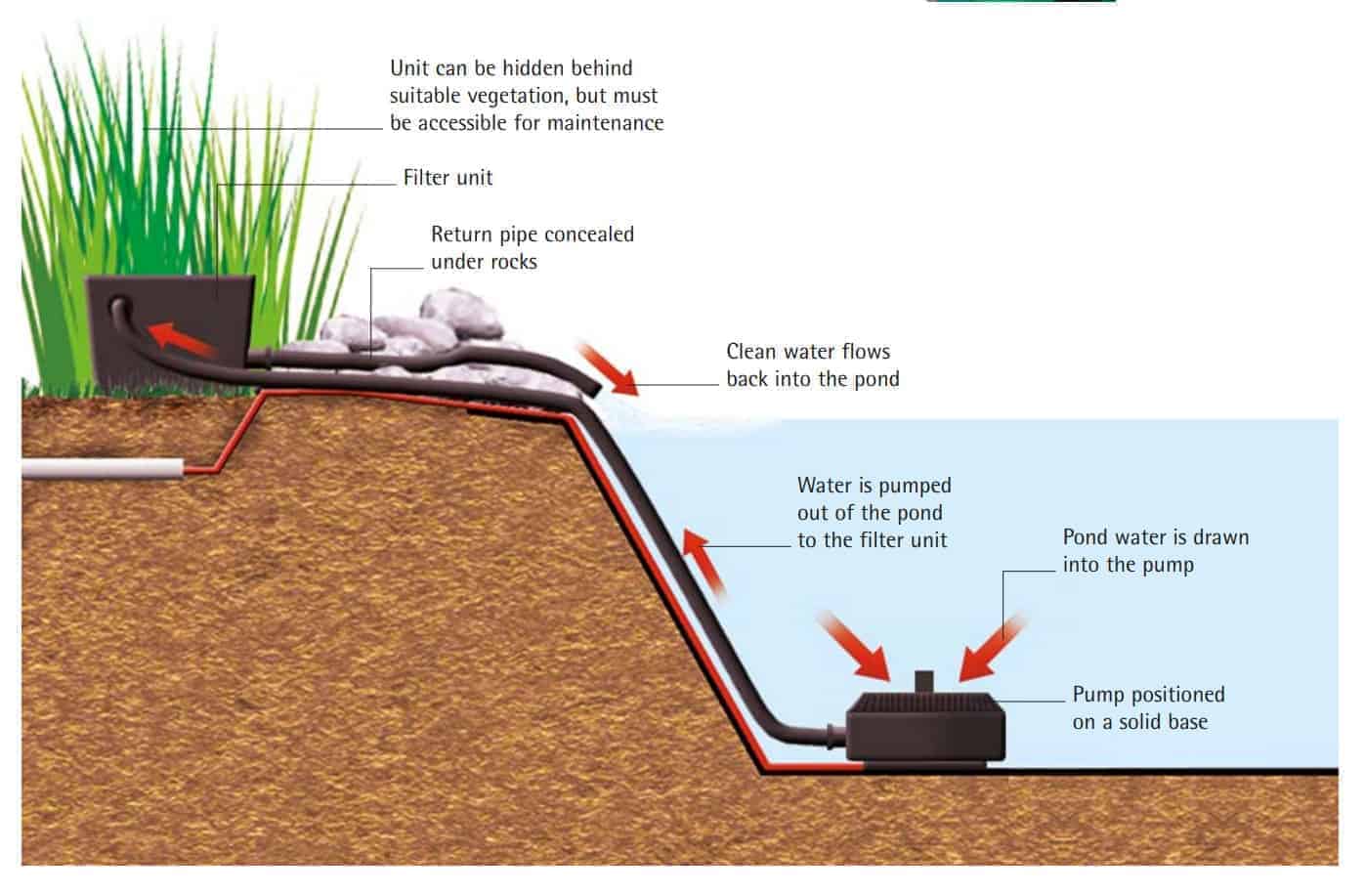 Как обустроить пруд на дачном участке — пошаговая инструкция от а до я