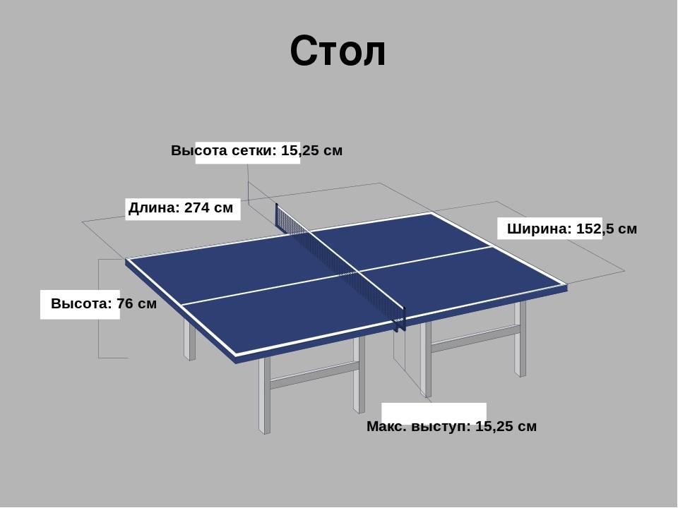 Выбираем теннисный стол: размеры и разновидности | статьи | zonasporta.com
