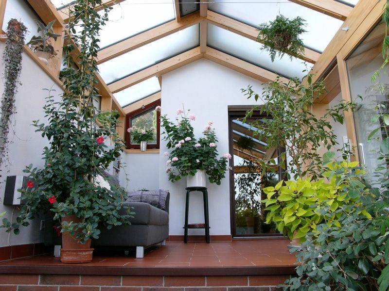 Зимний сад для частного дома: виды и особенности строительства - свой дом