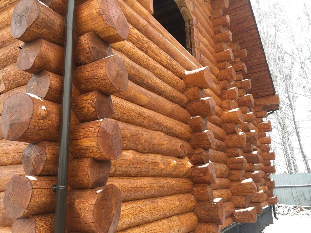 Строительство сруба из лиственницы сибирской: преимущества и недостатки и фото