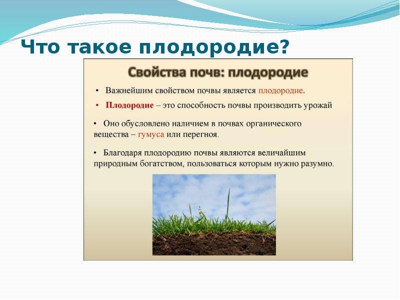 Методы анализа почвы: как правильно провести анализ почвы загородного участка