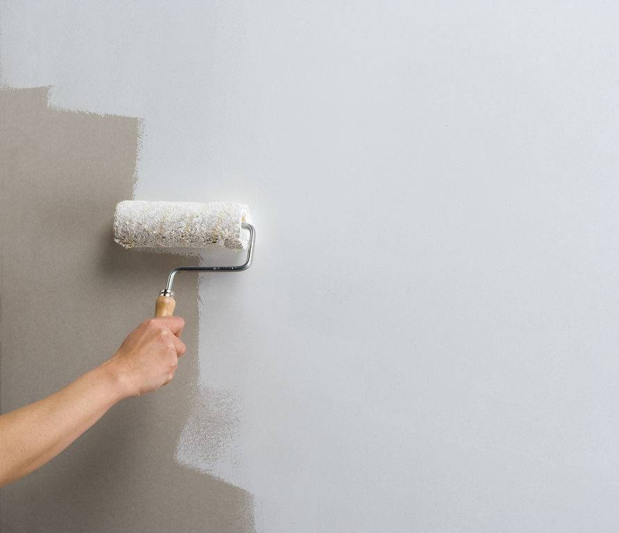 Как грунтовать стены перед покраской и что для этого используют