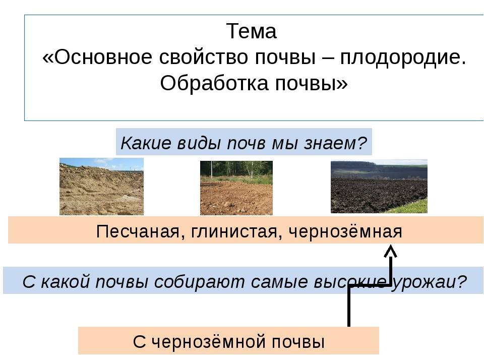 Как самостоятельно определить кислотность почвы на дачном участке, способы улучшение плодородия земли