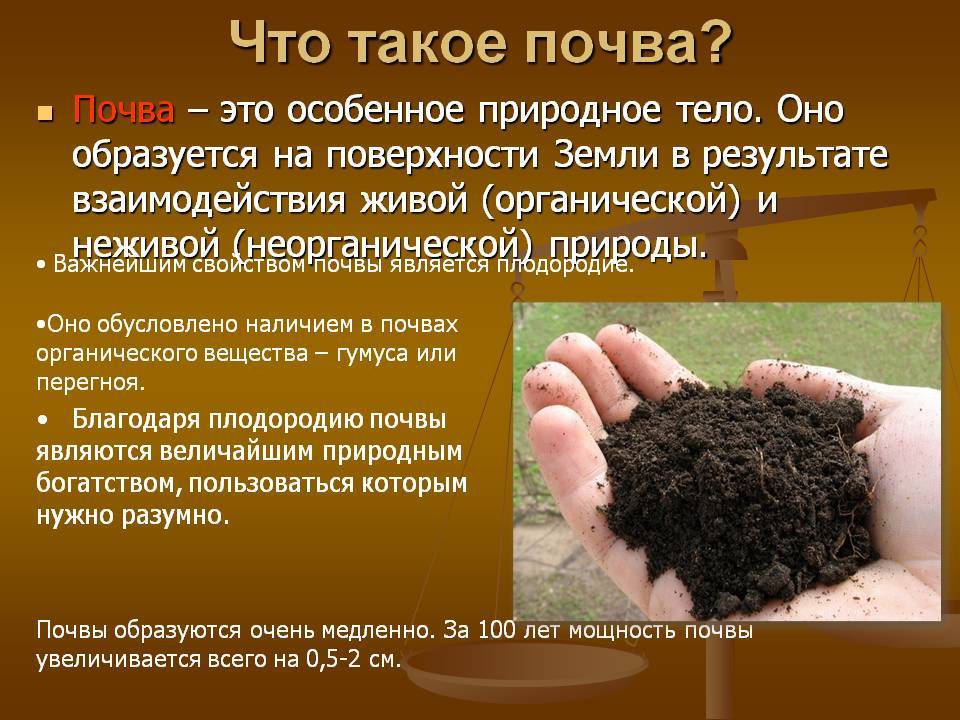 Анализ почвы на плодородие для повышения продуктивности полей