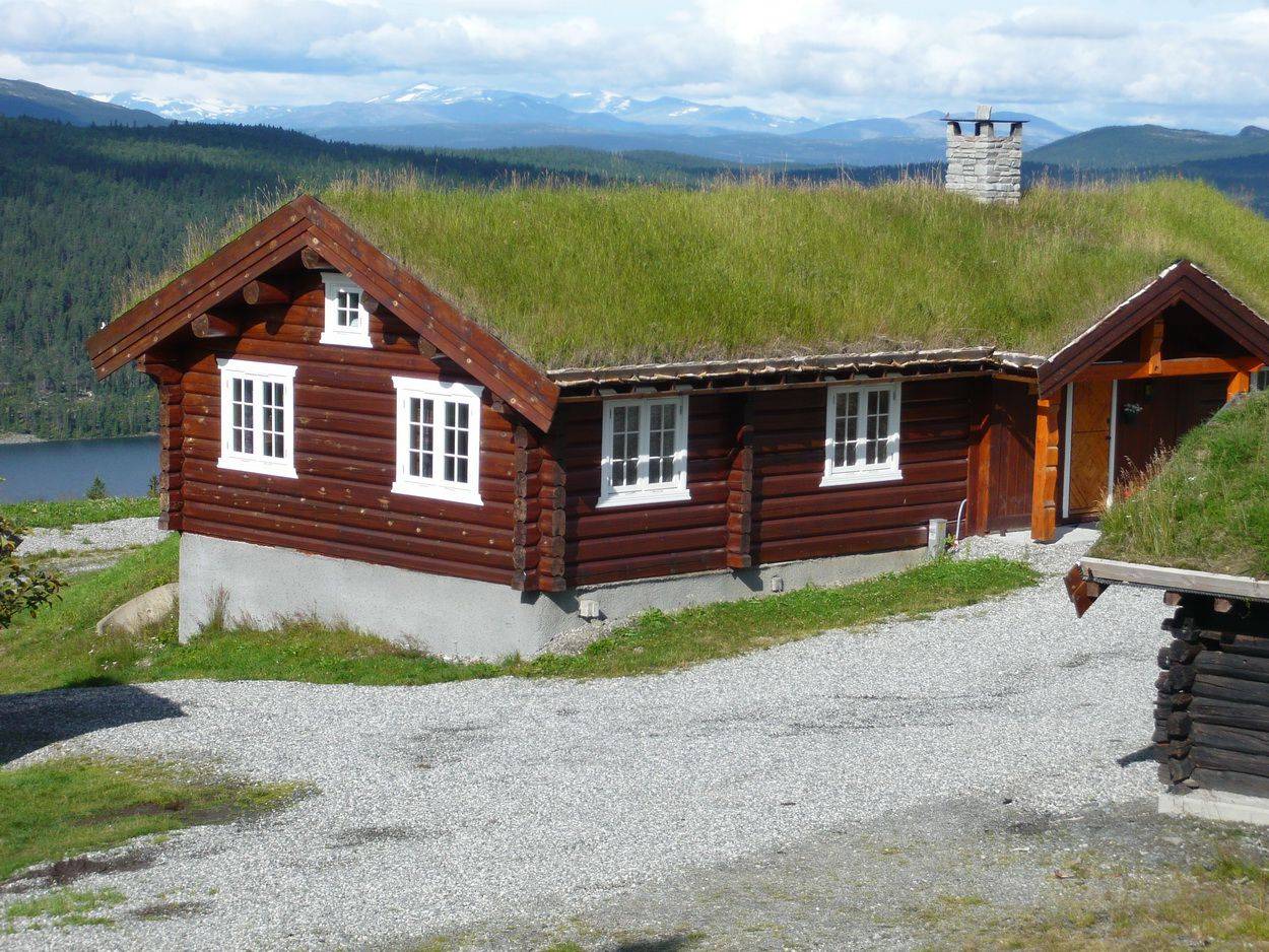 Проекты скандинавских домов: достоинства и недостатки