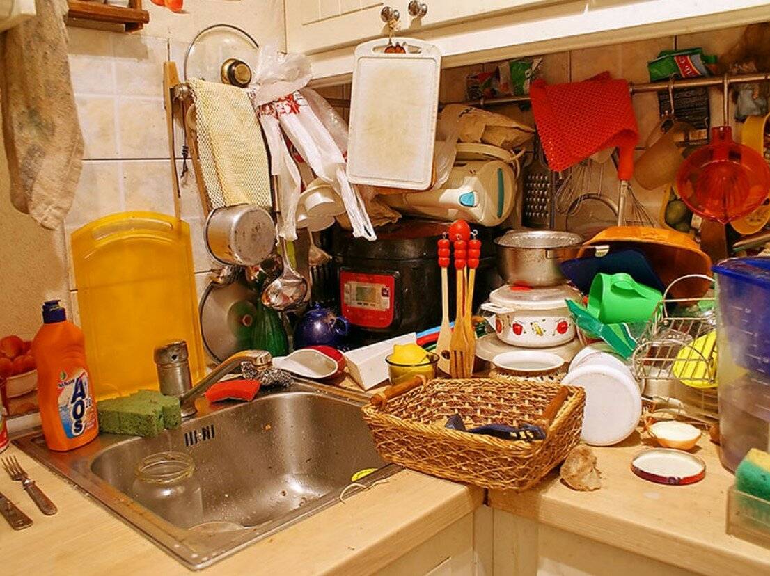 Завелись жучки в крупе: как избавиться от них на кухне и в шкафу навсегда, чем опасны и чем обработать полки – рецепты с фото