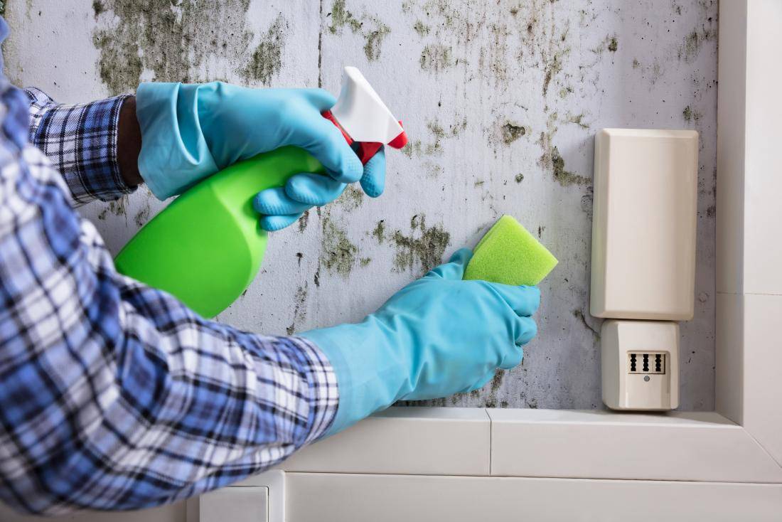 Как избавиться от запаха сырости в квартире