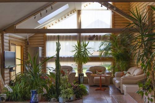 Как обустроить зимний сад на крыше частного дома: секреты и нюансы оформления