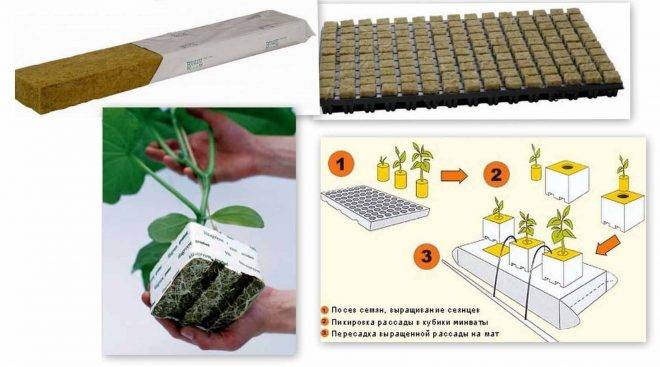 Самостоятельное выращивание гидропоники в домашних условиях: плюсы и минусы +фото и видео