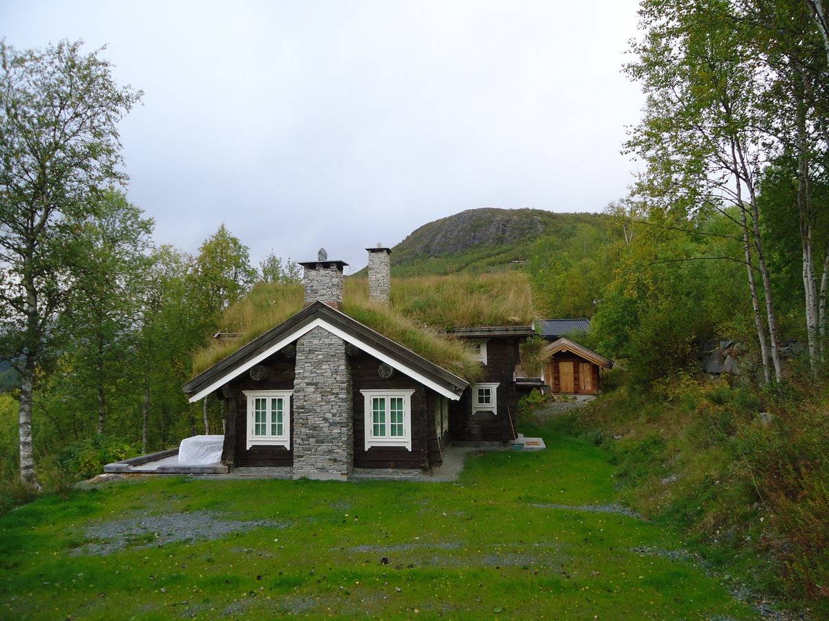 Скандинавские дома (31 фото)